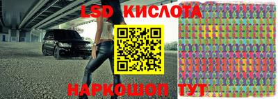 шишки Кимры