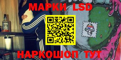 шишки Кимры