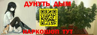 шишки Кимры