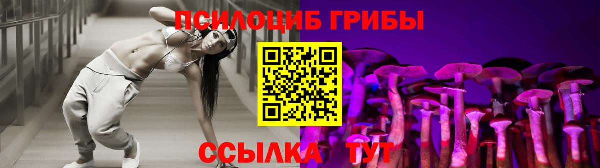 Галлюциногенные грибы Psilocybe Краснознаменск
